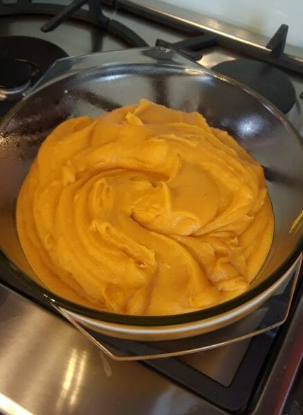 Puree De Butternut Au Thermomix Cookomix