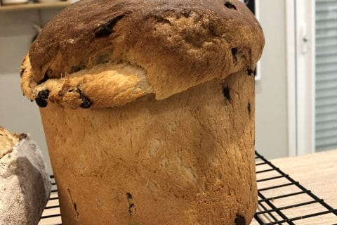 Cliquez pour zoomer ! Panettone Thermomix par Emi_5