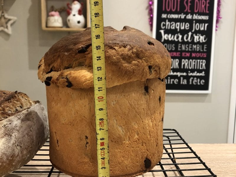 Cliquez pour zoomer ! Panettone Thermomix par Emi_5