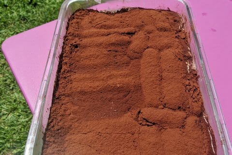 Cliquez pour zoomer ! Tiramisù, l’original au Thermomix