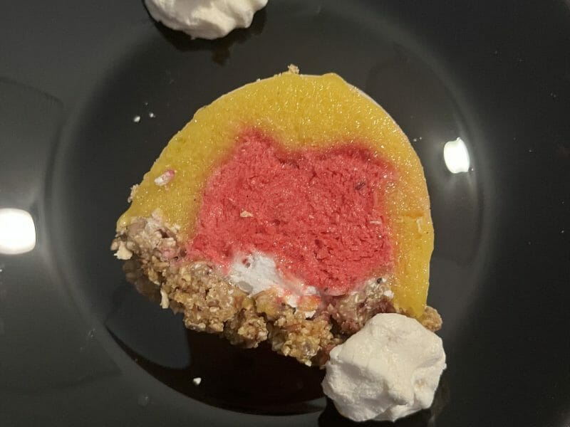 Cliquez pour zoomer ! Bûche glacée mangue et framboise Thermomix par Kat79