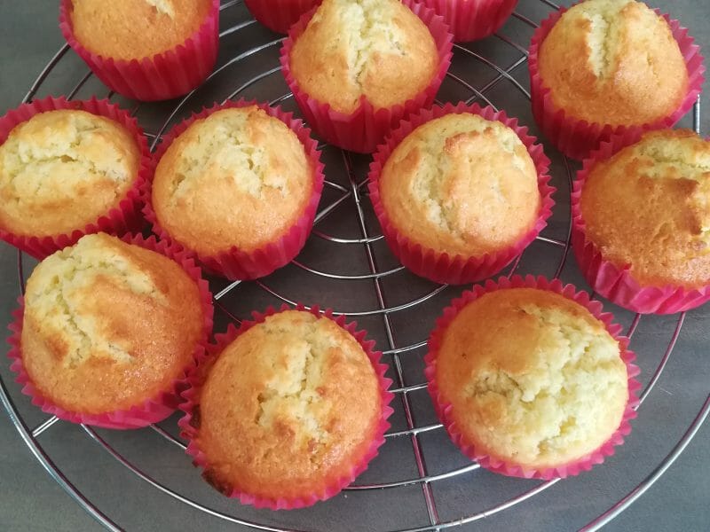 Cliquez pour zoomer ! Cake à la noix de coco Thermomix par Julieco