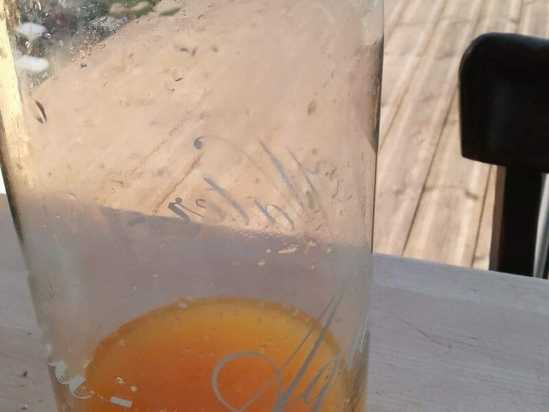 Cliquez pour zoomer ! Jus de fruits ACE Thermomix par Julieco