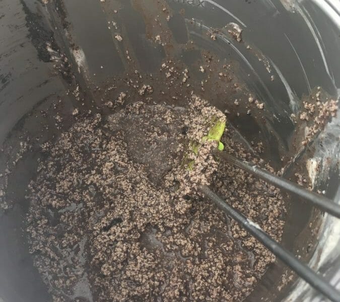 Cliquez pour zoomer ! Cupcakes Oreo Thermomix par cLaiRoN70