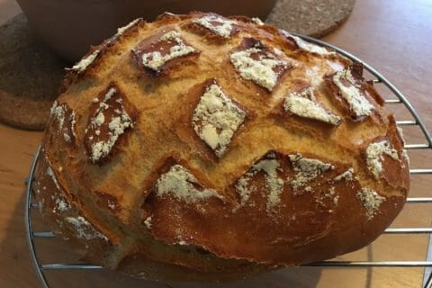 Photos des recettes