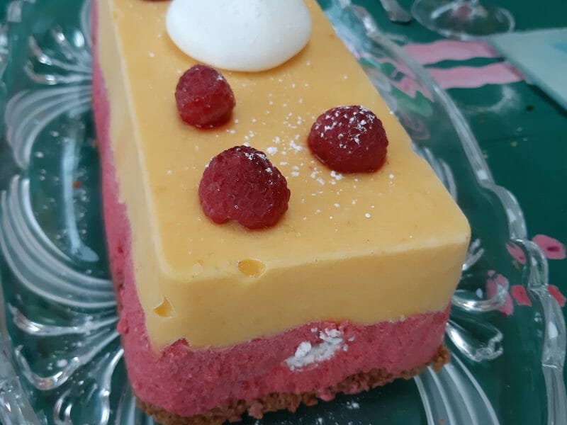 Bûche glacée mangue et framboise Thermomix par Grelie2001