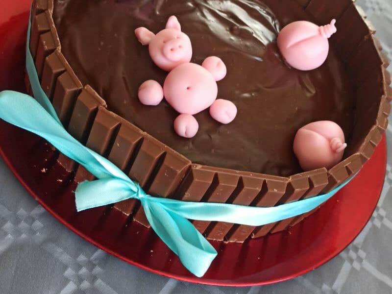 Cliquez pour zoomer ! La mare aux cochons Thermomix par steff90