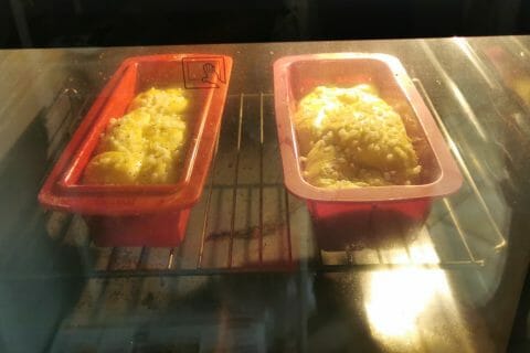 Cliquez pour zoomer ! Brioche Vendéenne au Thermomix