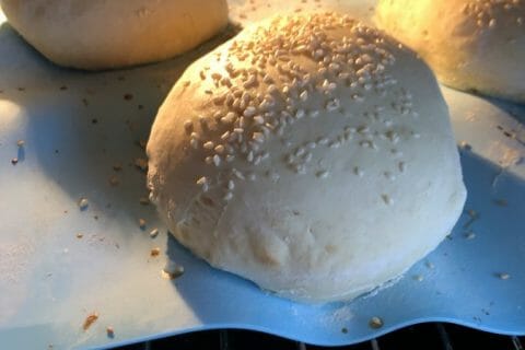 Cliquez pour zoomer ! Pains hamburger Thermomix par Auroredesaynans