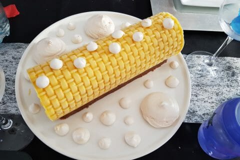 Cliquez pour zoomer ! Bûche glacée mangue et framboise Thermomix par Laetitia