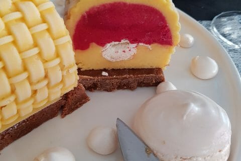 Cliquez pour zoomer ! Bûche glacée mangue et framboise Thermomix par Laetitia