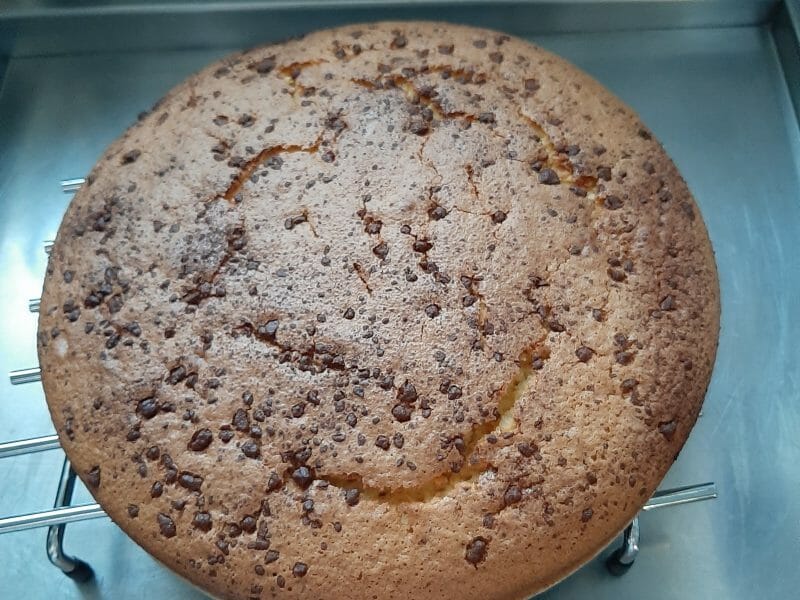 Cliquez pour zoomer ! Gâteau à l’orange Thermomix par Angelique_25