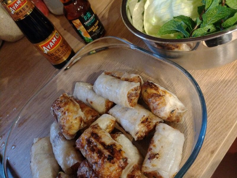 Cliquez pour zoomer ! Nems au poulet Thermomix par Pasciali