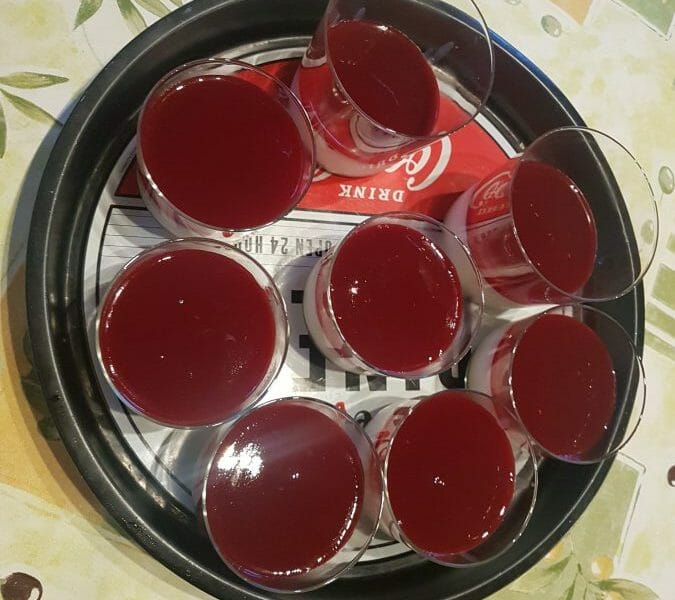 Cliquez pour zoomer ! Panna Cotta Thermomix par soso16