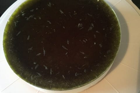 Cliquez pour zoomer ! Bavarois Mojito au Thermomix