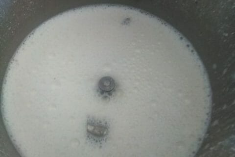 Cliquez pour zoomer ! Yaourt végétal au lait d’amandes Thermomix par Gloria_2