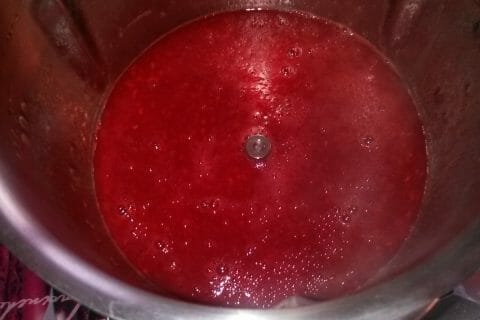 Cliquez pour zoomer ! Sorbet framboise Thermomix par Gloria_2