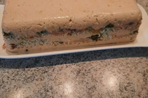 Cliquez pour zoomer ! Terrine de saumon frais et fumé Thermomix par Marie21490