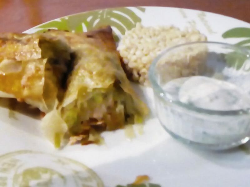 Cliquez pour zoomer ! Brick de saumon et poireaux Thermomix par soleil13