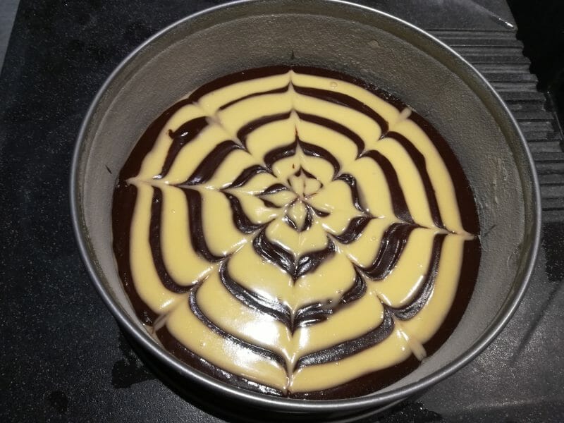 Cliquez pour zoomer ! Gâteau zébré Thermomix par puce73