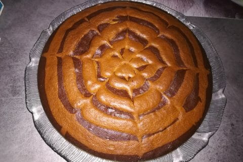 Cliquez pour zoomer ! Gâteau zébré Thermomix par puce73