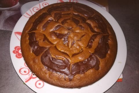 Cliquez pour zoomer ! Gâteau zébré Thermomix par puce73