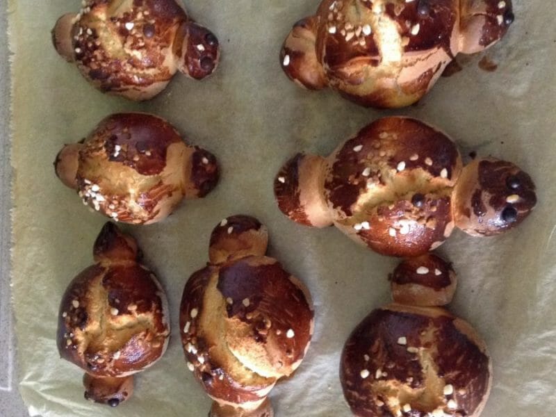 Cliquez pour zoomer ! Cougnou (coquille de Noël) Thermomix par Audreythegre