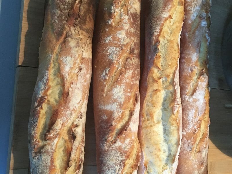 Cliquez pour zoomer ! Baguettes Thermomix par Ingrid_11