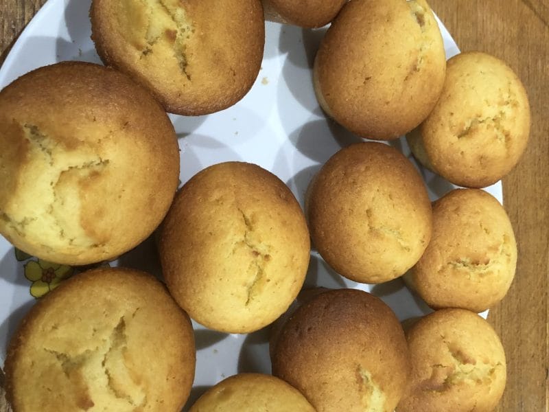 Cliquez pour zoomer ! Doffins Thermomix par maksomali