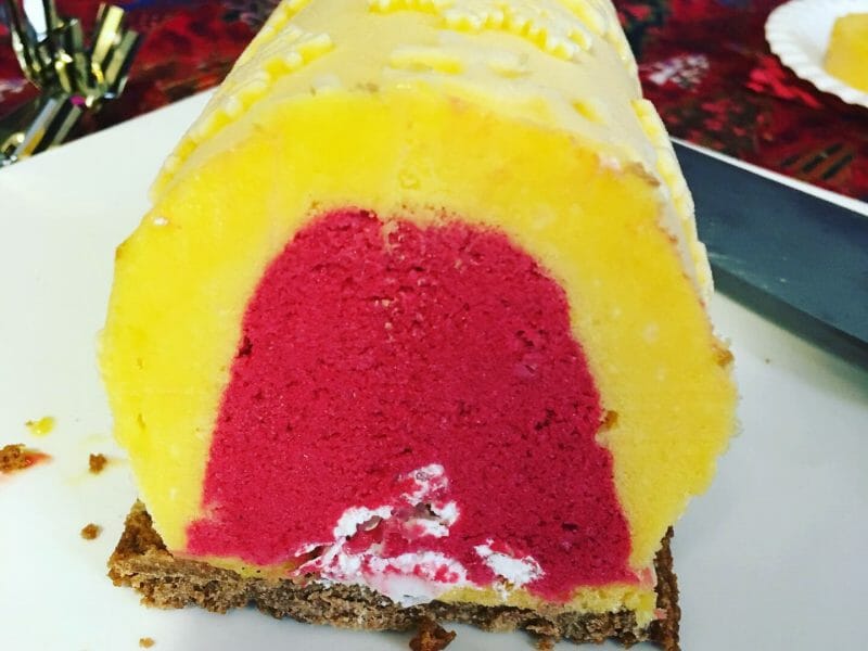 Cliquez pour zoomer ! Bûche glacée mangue et framboise Thermomix par apericube86