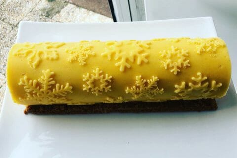 Cliquez pour zoomer ! Bûche glacée mangue et framboise Thermomix par apericube86