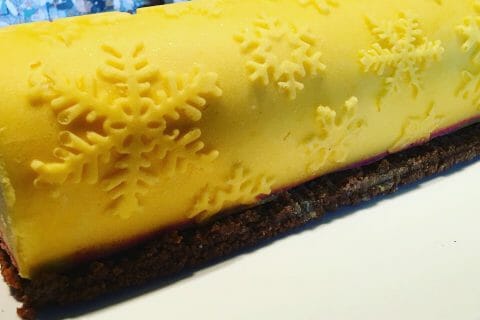 Cliquez pour zoomer ! Bûche glacée mangue et framboise Thermomix par apericube86