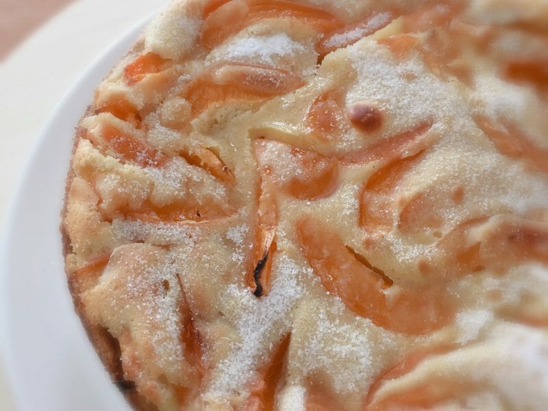 Cliquez pour zoomer ! Far aux abricots Thermomix par Krocmou74