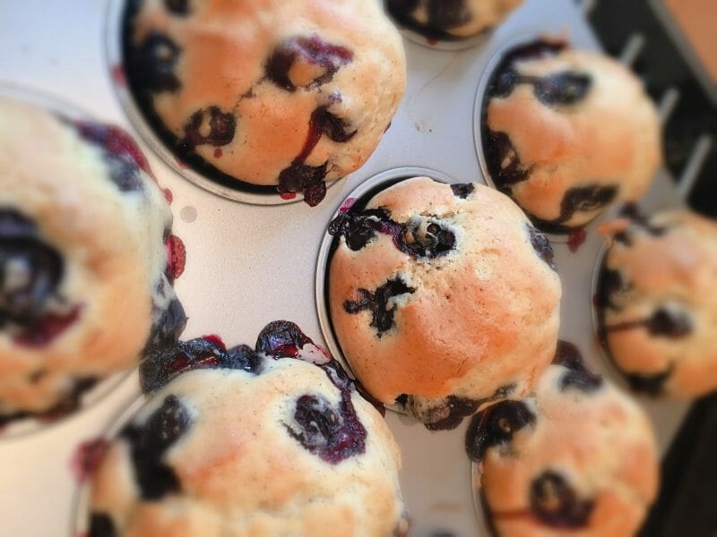 Cliquez pour zoomer ! Bublanina aux fruits rouges Thermomix par Krocmou74