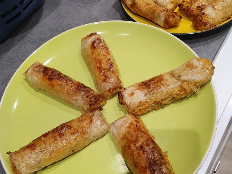 Cliquez pour zoomer ! Nems au poulet Thermomix par Germain