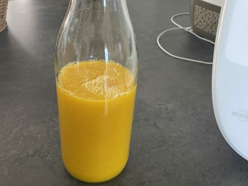 Cliquez pour zoomer ! Nectar de mangue Thermomix par Milo