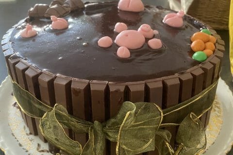 Cliquez pour zoomer ! La mare aux cochons Thermomix par Milo