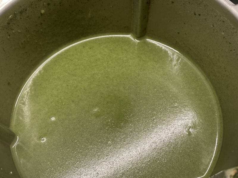 Cliquez pour zoomer ! Soupe d’orties Thermomix par Milo