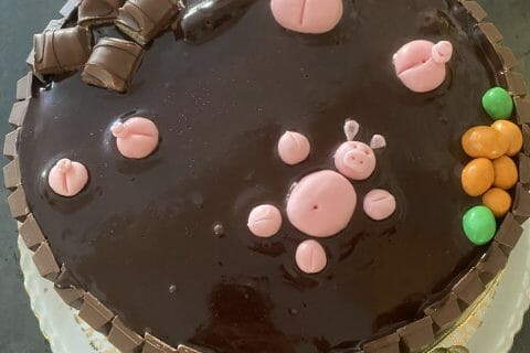 Cliquez pour zoomer ! La mare aux cochons Thermomix par Milo