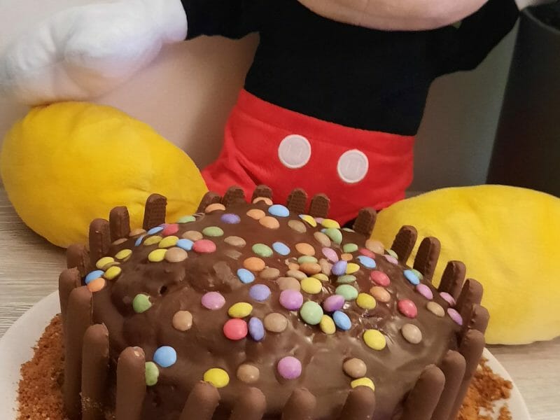 Cliquez pour zoomer ! Gâteau au yaourt et chocolat Thermomix par sansan06