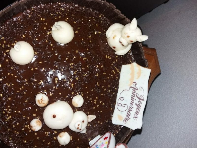 Cliquez pour zoomer ! La mare aux cochons Thermomix par SophieLaGirafe