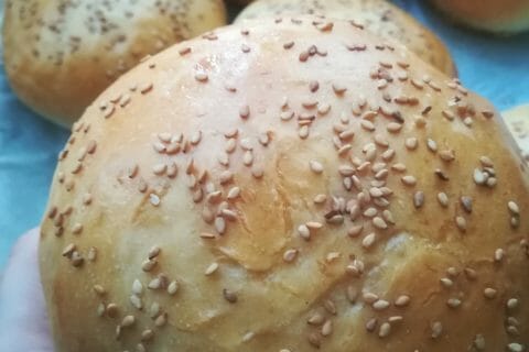 Cliquez pour zoomer ! Pains hamburger Thermomix par dowilla