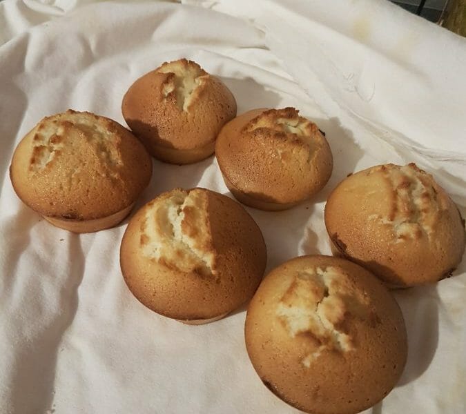 Cliquez pour zoomer ! Financiers au Nutella Thermomix par radoudette