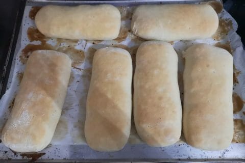 Cliquez pour zoomer ! Panini Thermomix par Mally