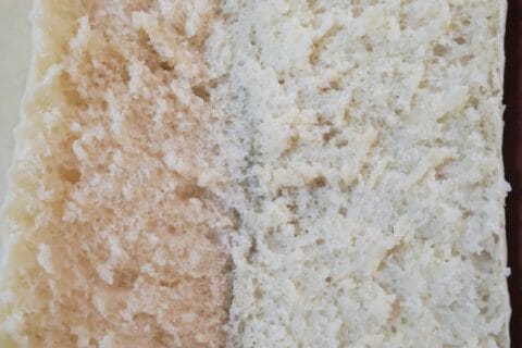 Cliquez pour zoomer ! Panini Thermomix par Mally