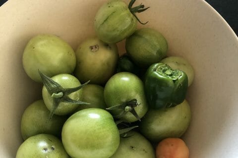 Cliquez pour zoomer ! Confiture de tomates vertes Thermomix par laetiyaya