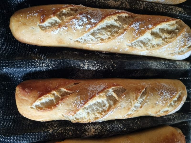 Cliquez pour zoomer ! Baguettes Thermomix par Claire_25