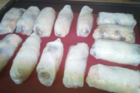 Cliquez pour zoomer ! Nems au poulet Thermomix par bibinethermo