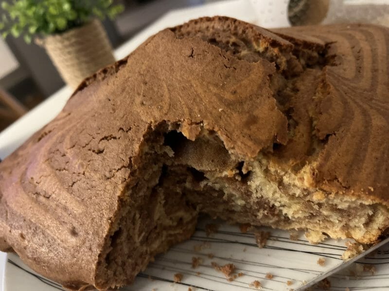 Cliquez pour zoomer ! Gâteau zébré Thermomix par Lea_dvld