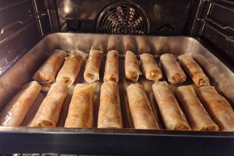 Cliquez pour zoomer ! Nems au poulet Thermomix par Zarbille